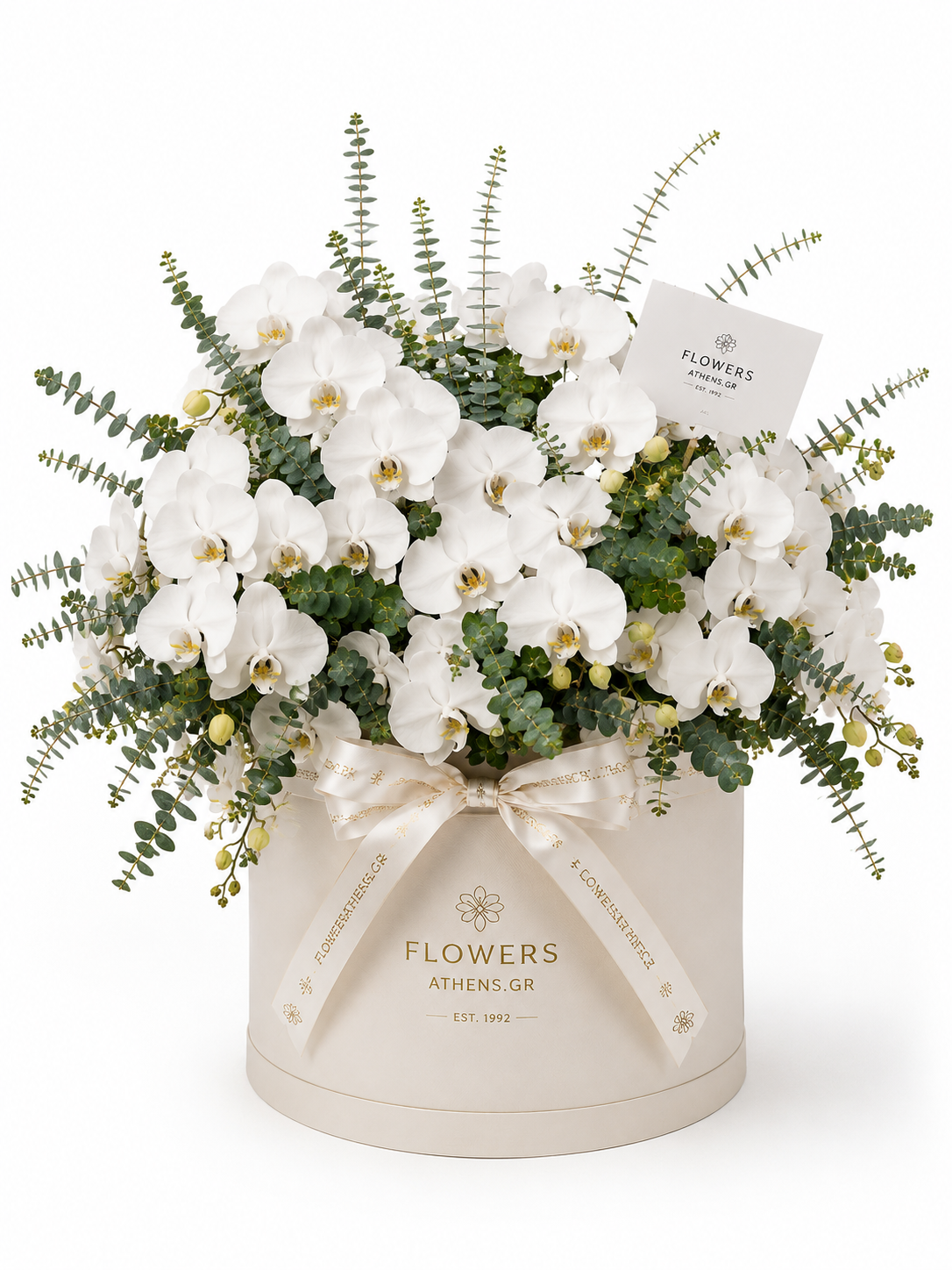 White Elegance | Orchid Arrangement in a FlowersAthens Box