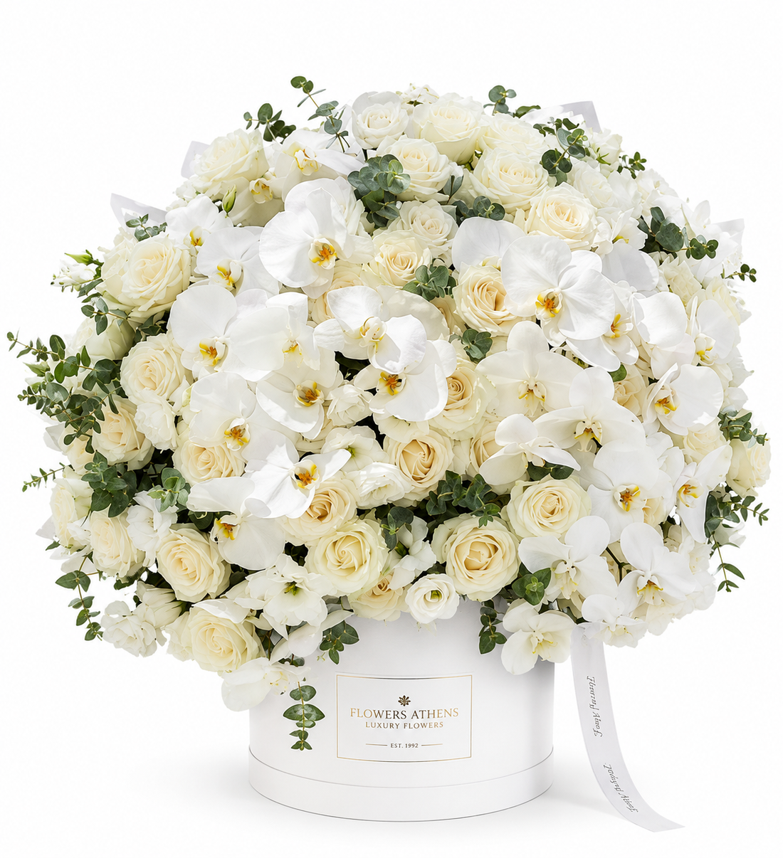 Best Flowers to Send as a Gift — The Ultimate Guide