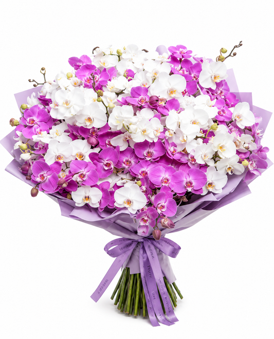 Μπουκέτο Ορχιδέες Phalaenopsis Ροζ & Λευκές | Flowers Athens