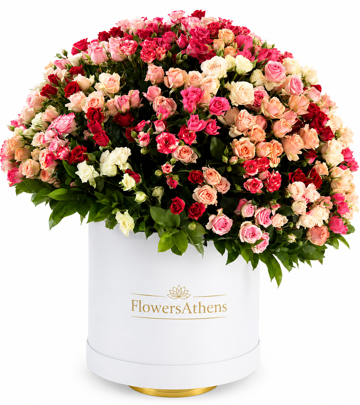 Colorful Mix in a Box FlowersAthens