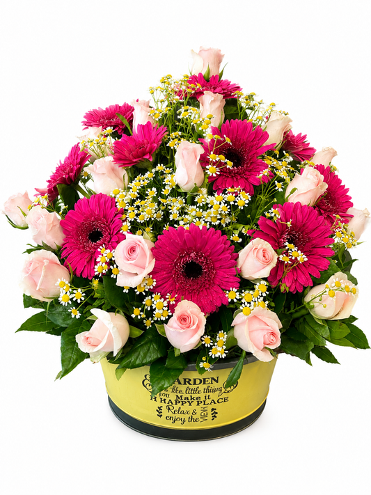 Κόκκινη Φλόγα | Σύνθεση σε Κουτί FlowersAthens