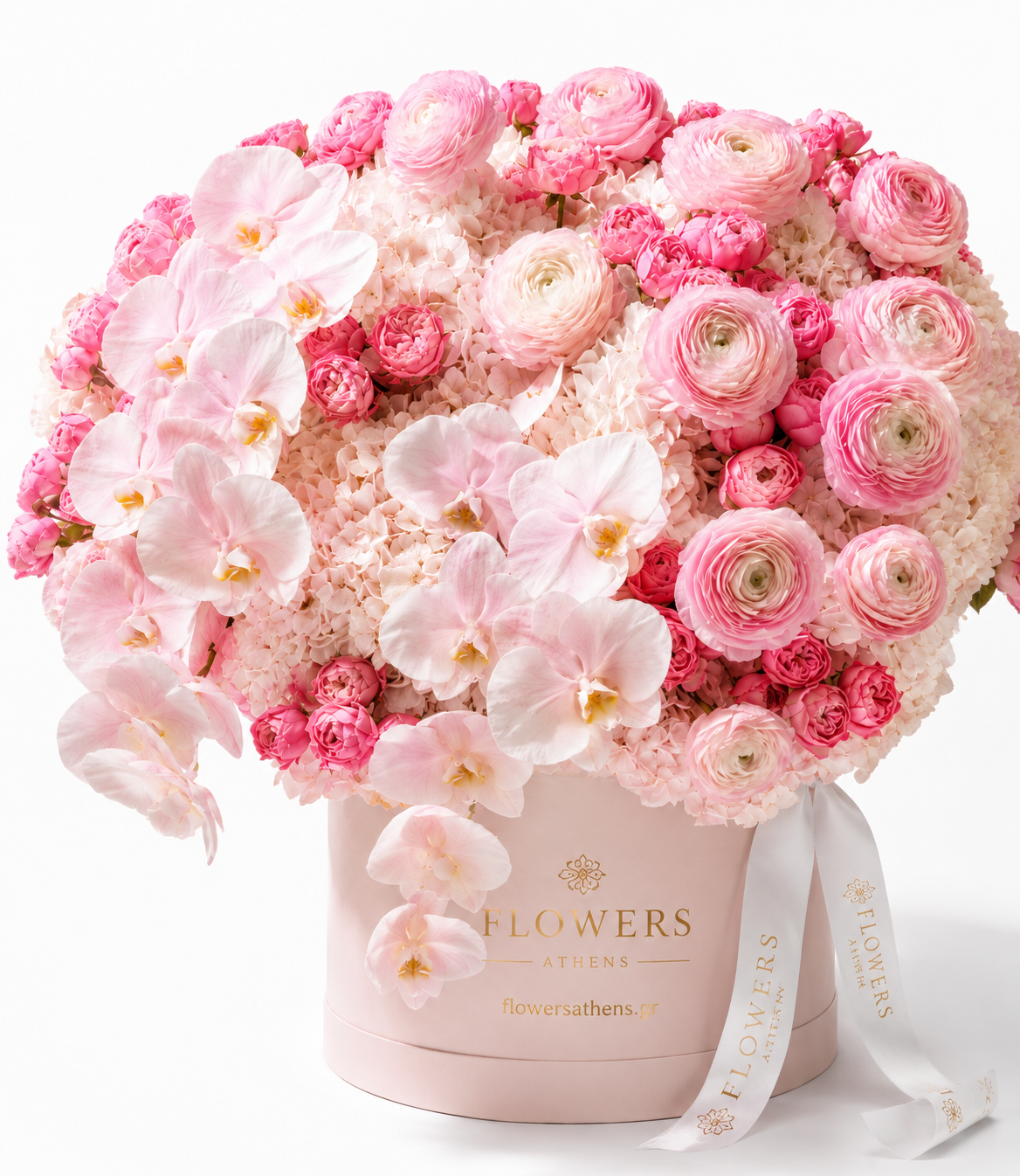 Pink Aesthetic | Box Composition & Orchids