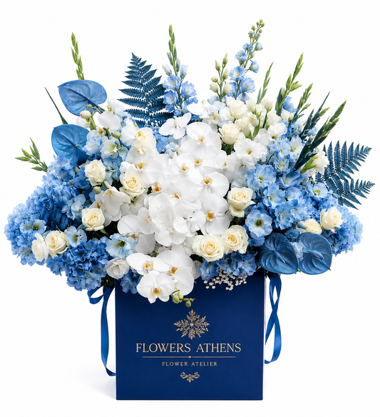 Blue Hydrangea & White Orchid Arrangement in a Box | Flowers Athens